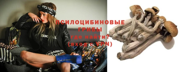jwh Бородино