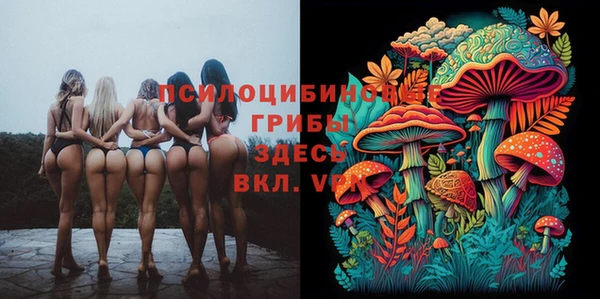 герыч Бугульма