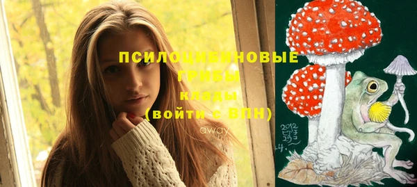 герыч Бугульма